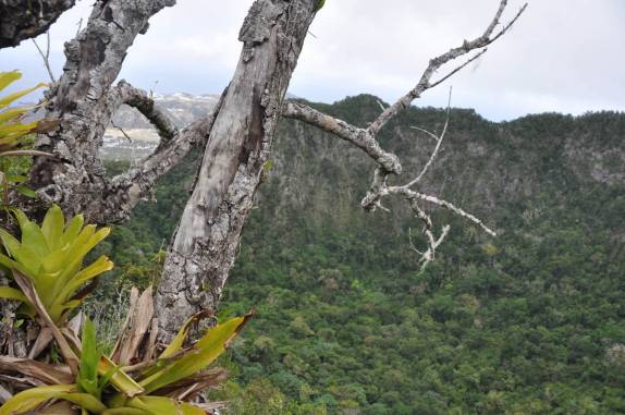 Cratera do The Quill, em Statia - Caribe
